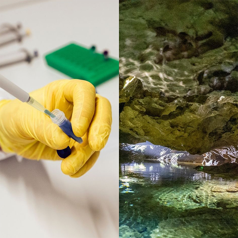 Eine zweiteilige Bildmontage, die 'Erfahrungsschatz und Schatzsuche' symbolisieren soll. Links eine Hand in einem gelben Handschuh, die mit einer Pipette eine blaue Flüssigkeit aus einem Probenröhrchen zieht. Rechts der Blick aus einer mit Wasser gefüllten Grotte auf einen Berg in der Ferne.