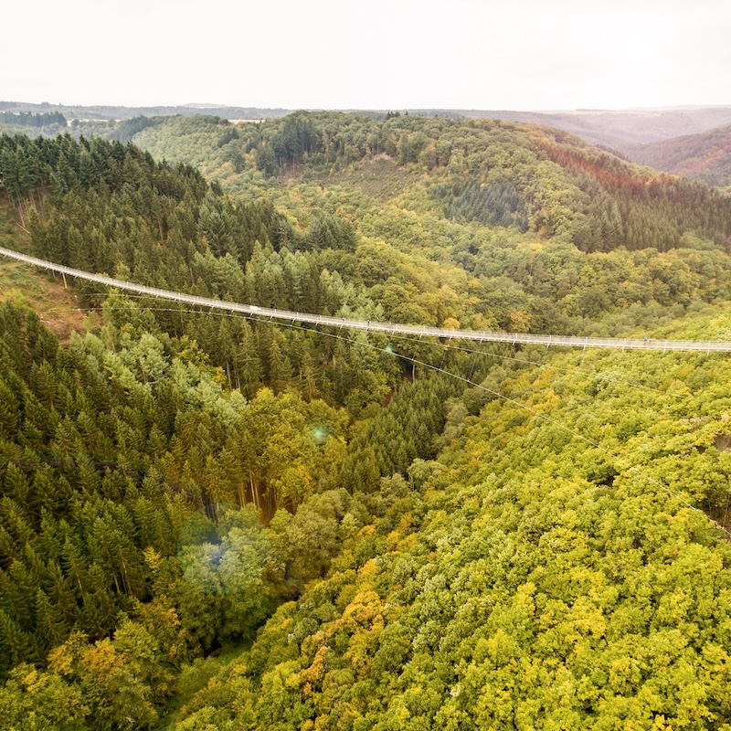 Die Geierlay-Hängeseilbrücke schwebt über dem Nationalpark Hunsrück-Hochwald.