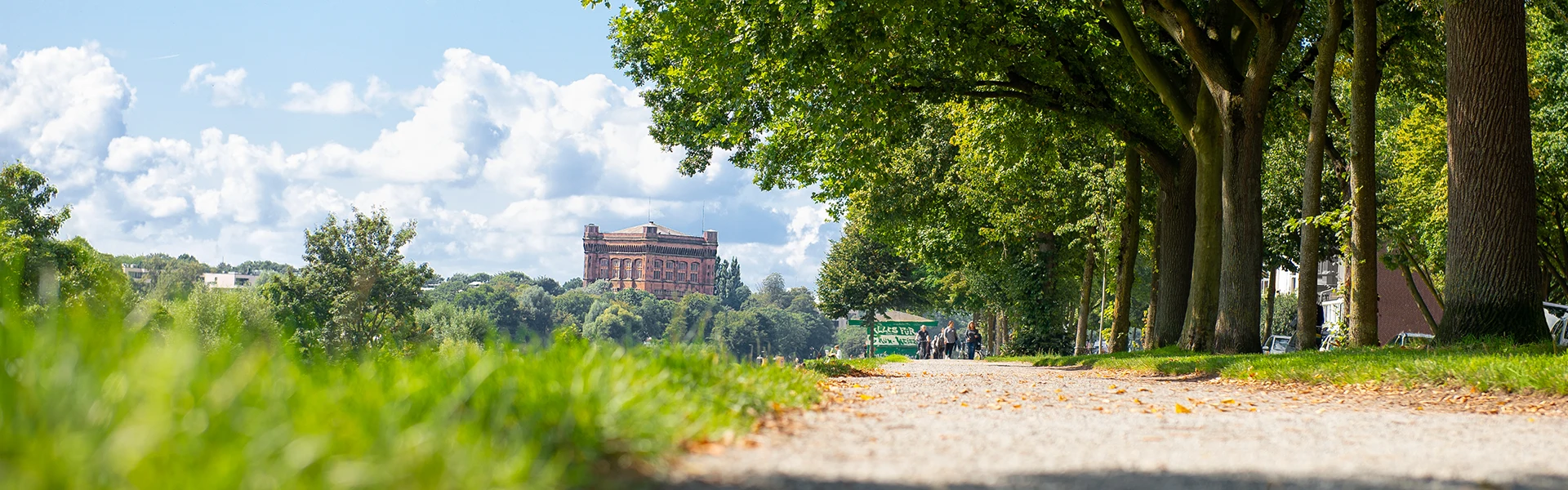 Ein Radweg mit einer Baumreihe am rechten Bildrand. Am Horizont ein historisches Gebäude umringt von grünen Laubbäumen.