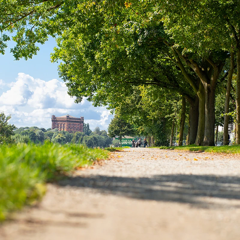 Der Radweg auf dem Osterdeich, fotografiert knapp über dem Boden und mit Bäumen und einem historischen Bauwerk im Hintergrund.