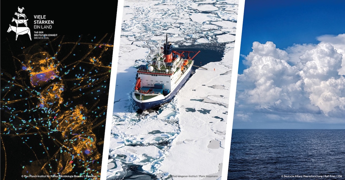 Fotos, hochkant nebeneinander: Links ein buntes Geflecht, in der Mitte das Forschungsschiff Polarstern im Eis, rechts große Wolken über einem Meer.